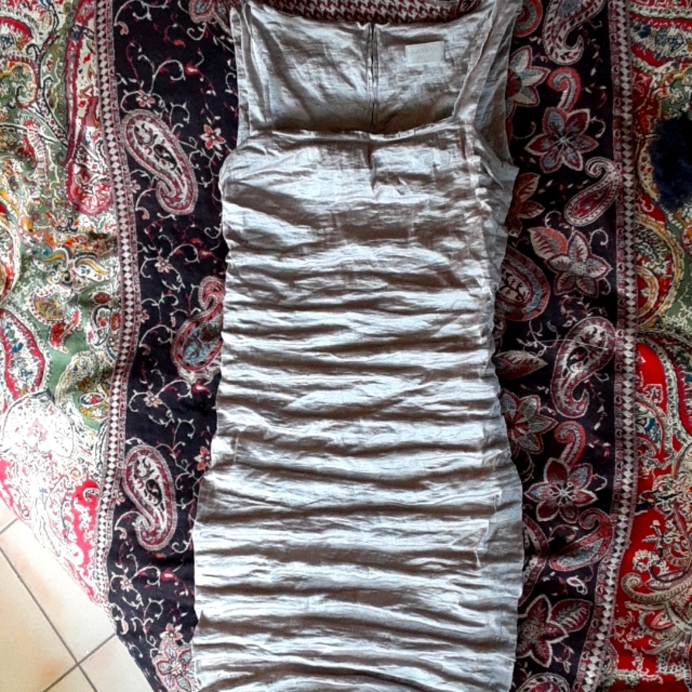 Lanvin Metallic Silk 2011 Runway Fashion Design Slinky Cream Dress. Size 40